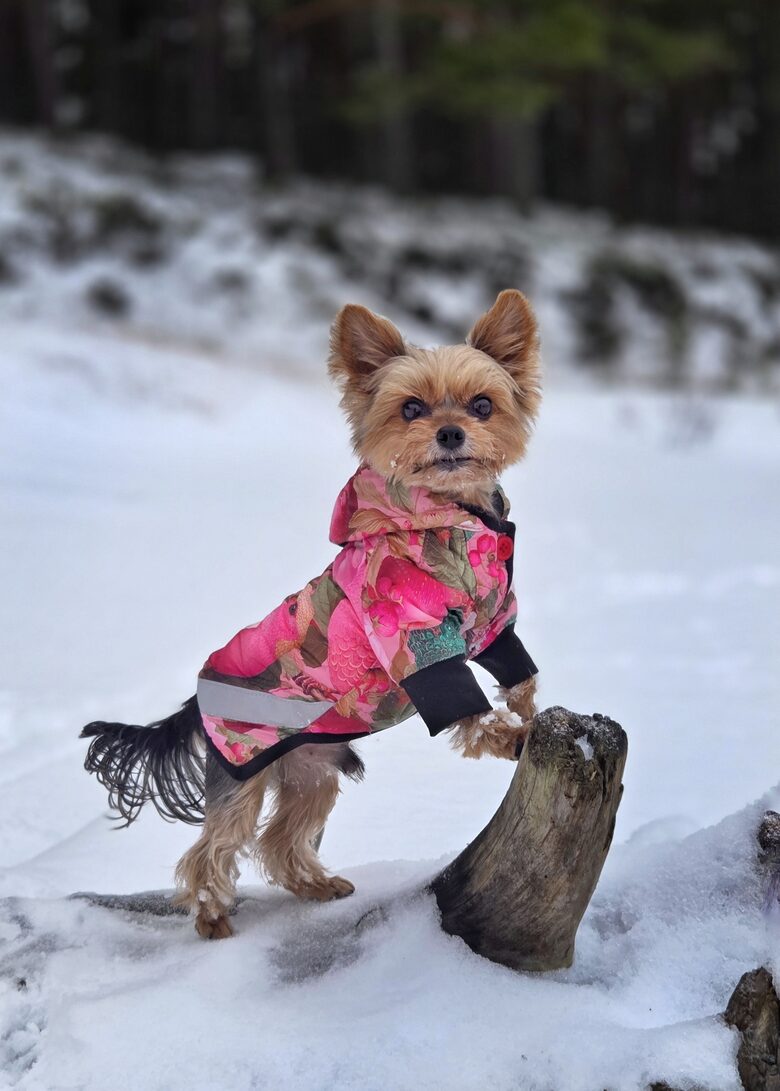 Chillbe Little Birdie winter coat