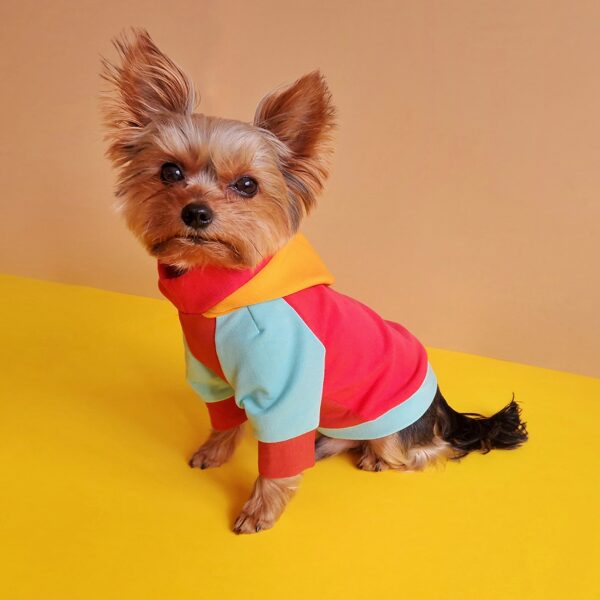 Neon Pink Small Dog hoodie