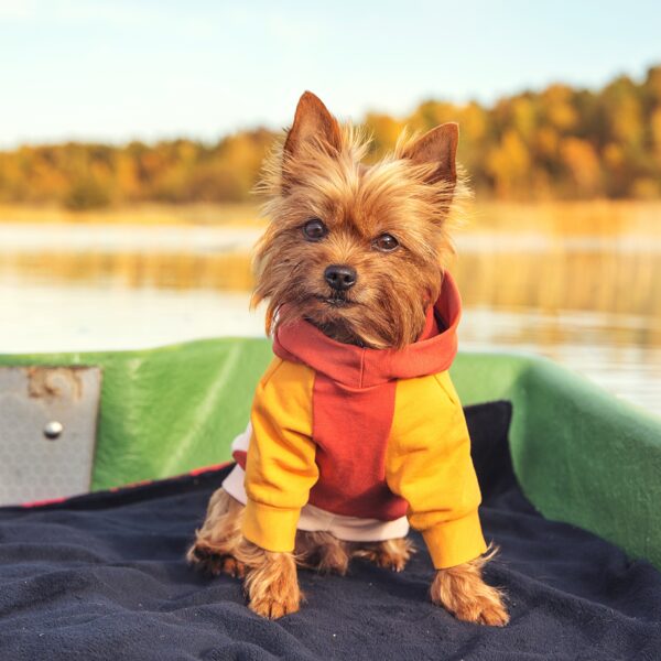 Light Pink Small Dog Hoodie